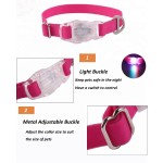 狗项圈厂家-发光LED亮灯夜光