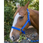 马笼头厂家-热销阿拉伯尼龙可自主设计