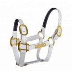 马笼头厂家-阿拉伯彩色PVC带软垫