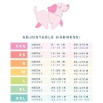 宠物背带厂家-时尚氯丁橡胶加垫套脚式