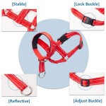 狗嘴套厂家-可定制logo反光可调氯丁橡胶