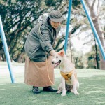 狗牵引绳厂家-强拉双色尼龙皮革包裹