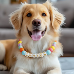 狗项圈厂家-个性化串珠可定制名字