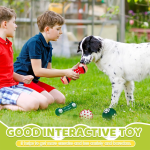 宠物玩具厂家-高品质乙烯基圣诞球系列