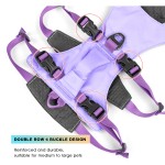 狗背心背带厂家-高品质可定制可调