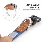 狗项圈套装厂家-时尚环保牛仔可调