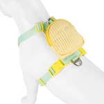 狗背心背带厂家-加垫防爆可定制印花