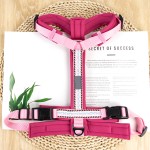 宠物背带套装厂家-个性化玫瑰红尼龙背心