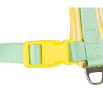 狗背心背带厂家-加垫防爆可定制印花