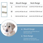 狗嘴套厂家-可定制logo反光可调氯丁橡胶