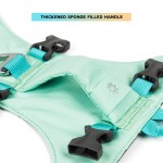 狗背带套装厂家-厂家批发低价起订加固