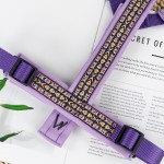 宠物背带套装厂家-豪华透气氯丁橡胶猫狗通用