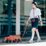 狗滑链厂家-环保多功能红色尼龙