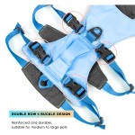 宠物背心背带厂家-轻量户外反光易携带