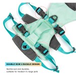 狗背带套装厂家-厂家批发低价起订加固