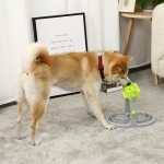 Pet Feeder Manufacturer - Slow Feeder Automatic Adjustable Smart IQ