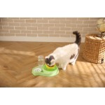 宠物喂食器套装厂家-环保防漏无BPA2合1