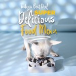 狗碗厂家-新款设计趣味方形慢食智商玩具