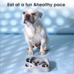 狗碗厂家-新款设计趣味方形慢食智商玩具