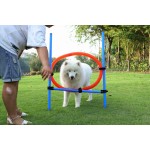 狗敏捷设备厂家-户外可调高度跳环