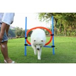 狗敏捷设备厂家-户外可调高度跳环