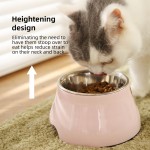 Pet Bowl Supplier - Manufacture Easy Cleaning Large Raised Stainless