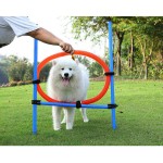 狗敏捷设备厂家-户外可调高度跳环
