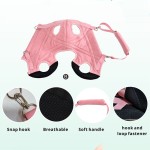 狗携带吊带厂家-应急背包腿部支撑