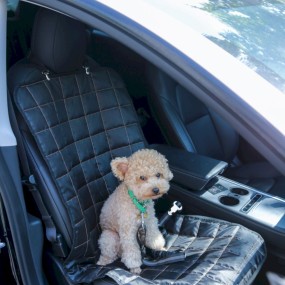 狗训练牵引绳厂家-反光多功能带安全带