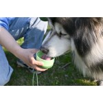 宠物水碗厂家-便携轻量无毒270ml 500ml