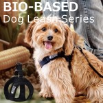 狗背带厂家-批发透气空气网眼环保