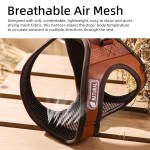 狗背带厂家-批发透气空气网眼环保