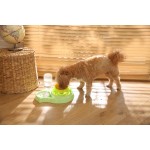 宠物喂食器套装厂家-环保防漏无BPA2合1