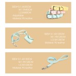 狗项圈牵引绳厂家-重型合金真皮