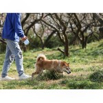 狗牵引绳厂家-自动伸缩牵引带5米长