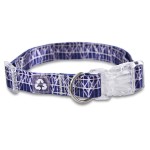 宠物狗项圈厂家-环保可充电回收尼龙