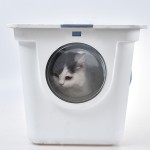 Cat Toilet Box Supplier - Wholesale Double Door Plastic Large Space