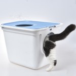 Cat Toilet Box Supplier - Wholesale Double Door Plastic Large Space
