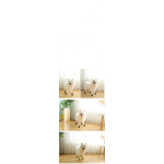 宠物鞋供应商-透气防水反光软底