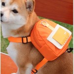 宠物背包生产商-新款卡通户外旅行小型