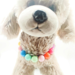 宠物项圈厂家-马卡龙纯色中小泰迪