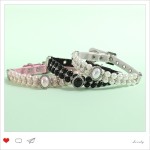 犬类项圈厂家-新款钢丝绳串珠大珍珠