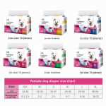 雌犬裤生产商-10件装生理裤尿布