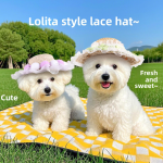 宠物服饰帽生产商-优雅公主蕾丝边蝴蝶结