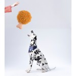 宠物食物玩具供应商-发声填充薯条耐咬