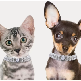 Dog Collar Factory - New Wire Rope Beaded Big Pearl