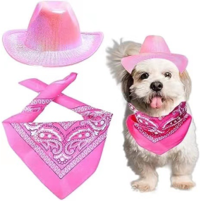 Pet Cowboy Hat Supplier - Colorful Polyester Shiny Party