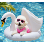 宠物救生衣供应商-环保充气游泳