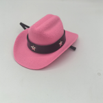 犬类帽厂家-新款环保牛仔牛仔设计