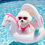 宠物救生衣供应商-环保充气游泳